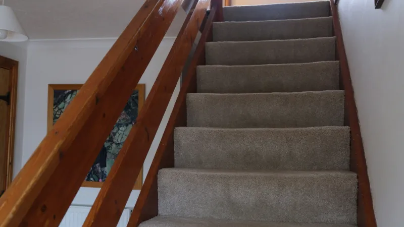 Carpeted staircase with a wooden banister rising towards a window