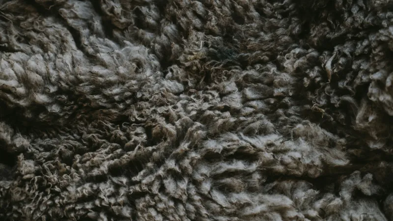 Close-up of a deep shaggy carpet pile