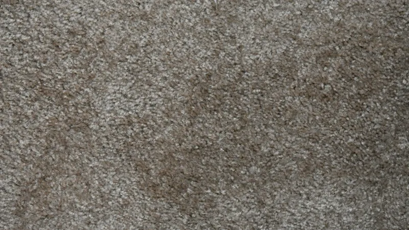 Close-up of a short, dense carpet pile