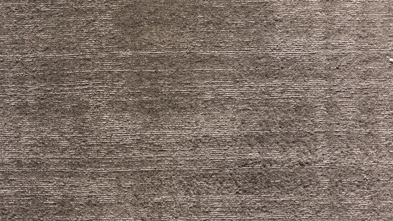 Close-up of taupe carpet