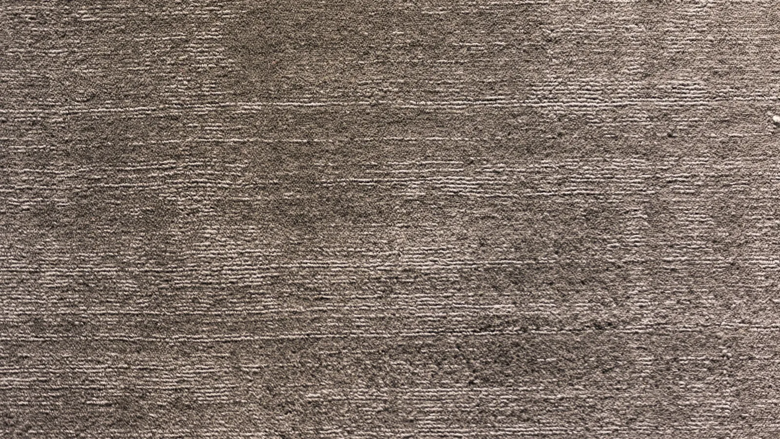 Close-up of taupe carpet