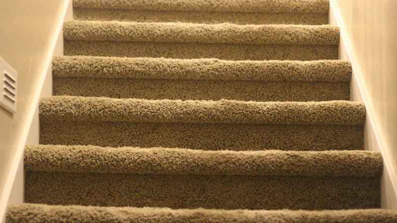 Close view of beige carpeted steps and their nosings