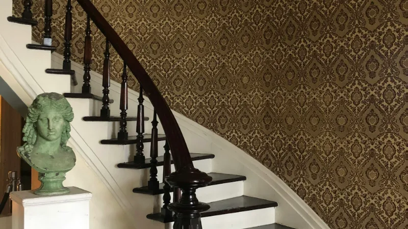 Curved staircase with dark treads and a patterned surround