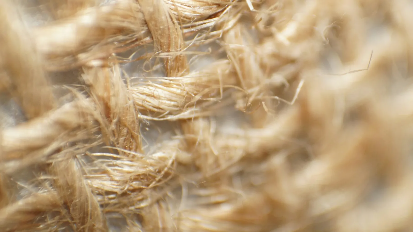 Jute fibres close up