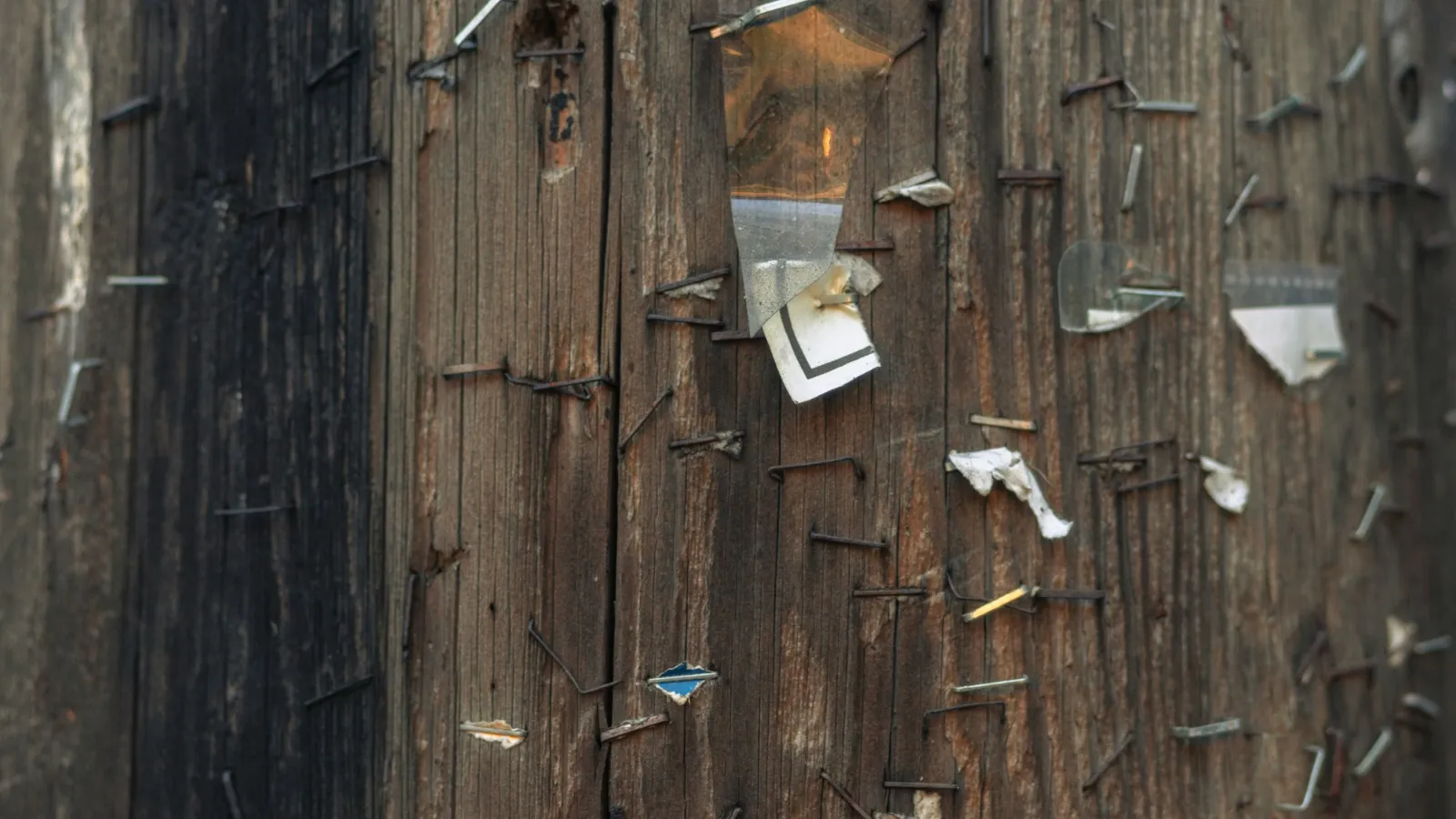 Old tacks and nails on worn timber